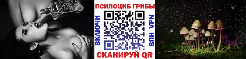 купить наркоту Лыткарино Псилоцибиновые грибы Cubensis